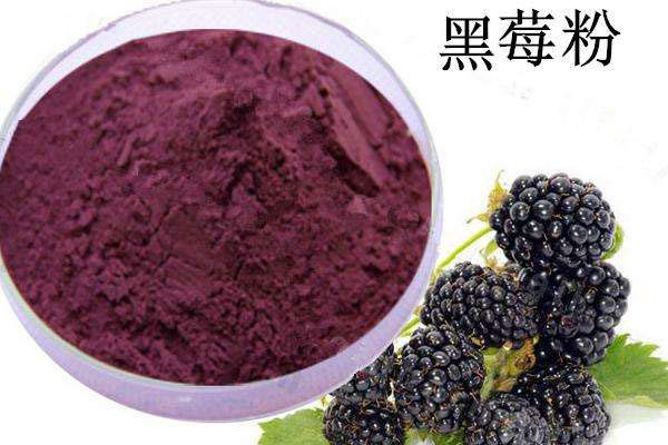 純天然黑莓粉