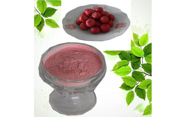Hawthorn powder